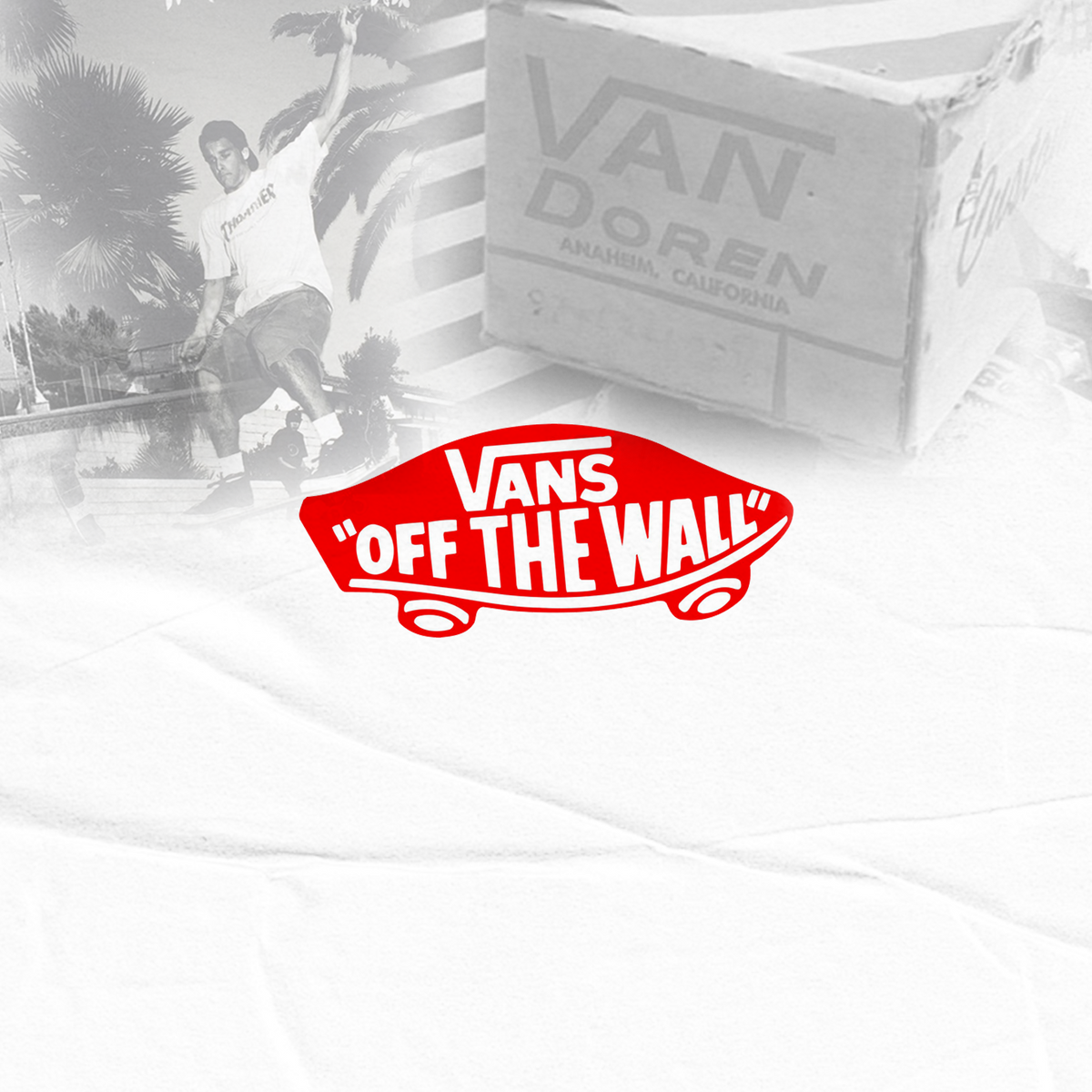 Are Vans Making a Comeback?
