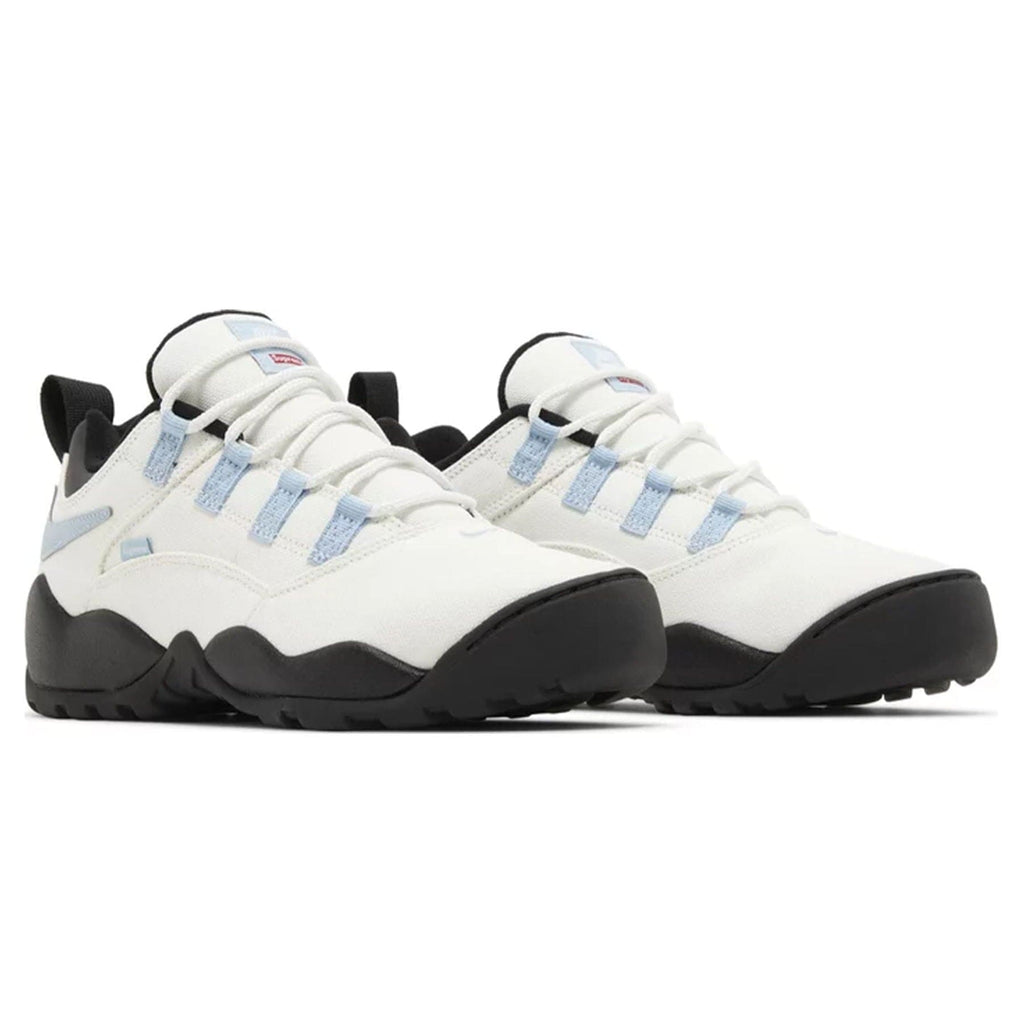 Nike Shoes Air Darwin Rodman Nike Darwin Low Rodman Air Darwin