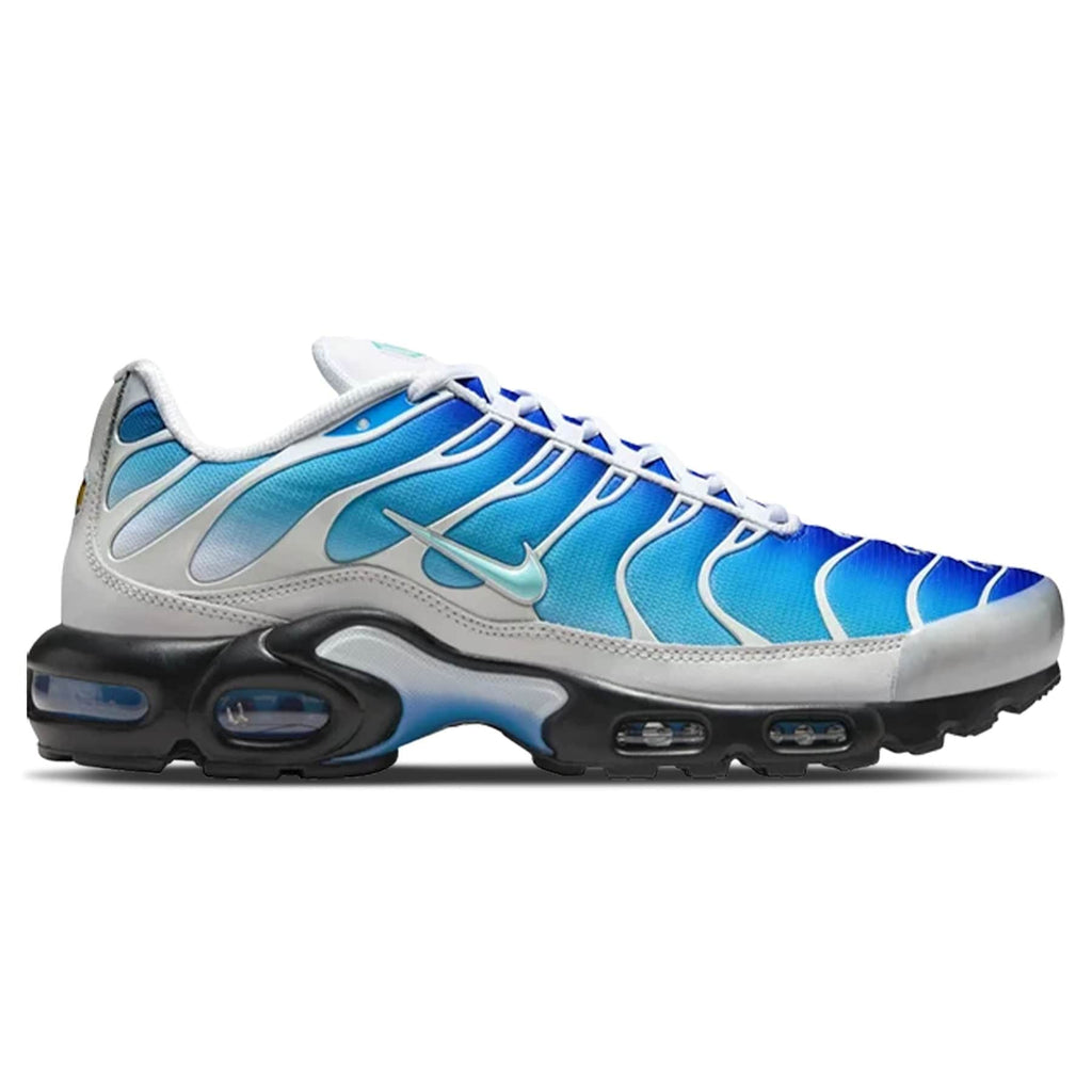 One Block Down x Nike Air Max Plus 'Reverse Pack Dry Water