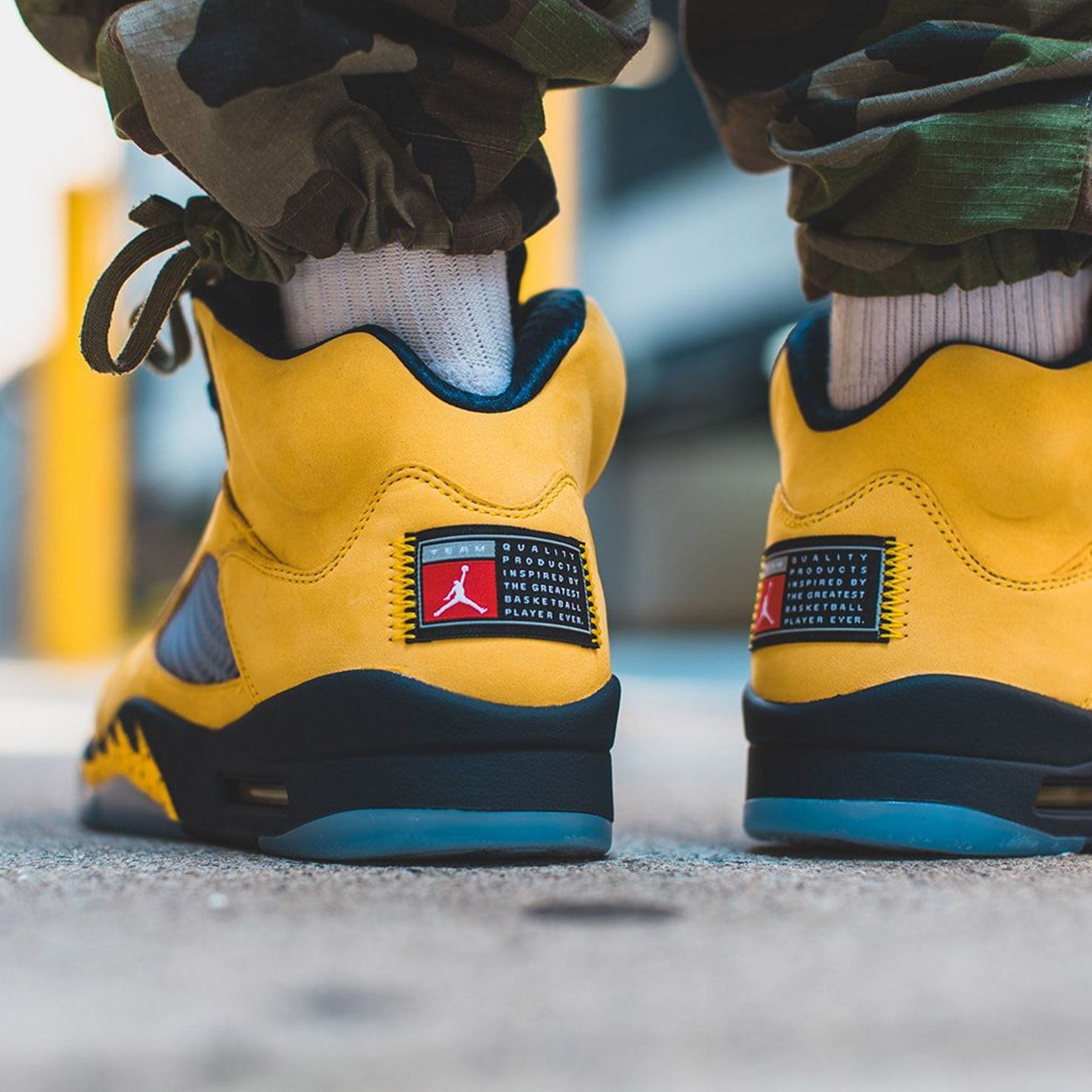 michigan jordan shoes 2019