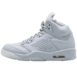 Air Jordan 5 Premium Pure Platinum