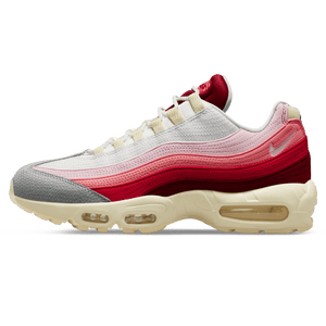 Nike Air Max 95 'Anatomy Of Air'
