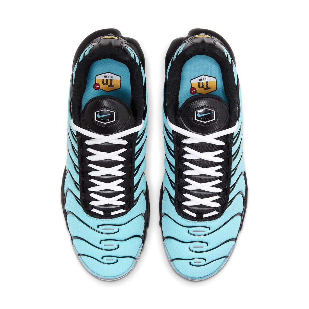 Nike Air Max Plus 'Aqua Silver' — Kick Game