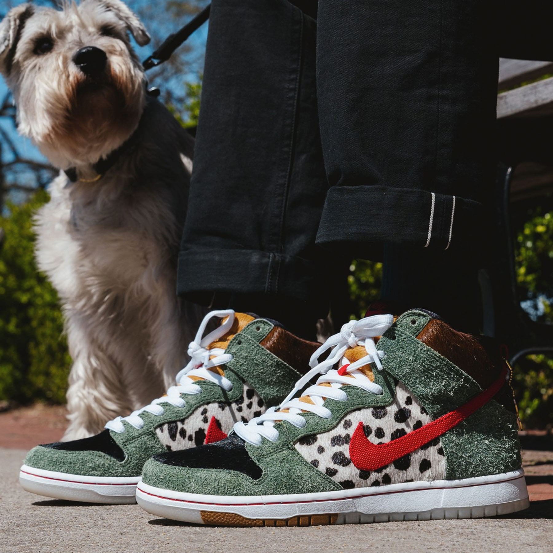 Dunk SB high walk dog BQ6827 300